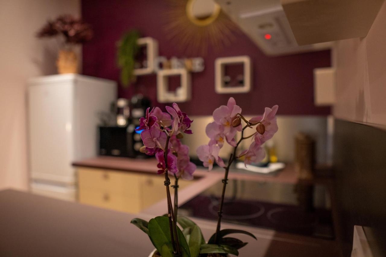 Studio Coeur De Ville Sanary Tres Cosy Parking Buitenkant foto
